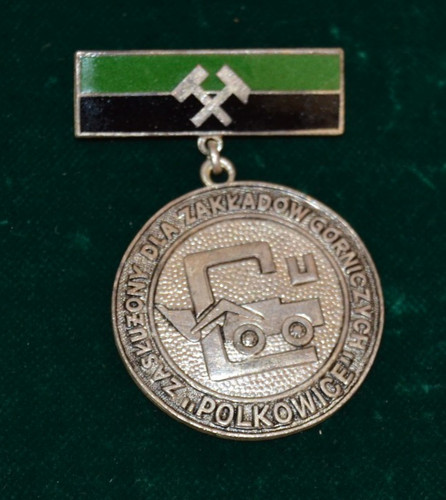 Seltenes abzeichen verdiente - abzeichen,
